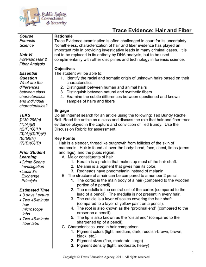 Hair And Fiber Unit Worksheet Answers Db excel