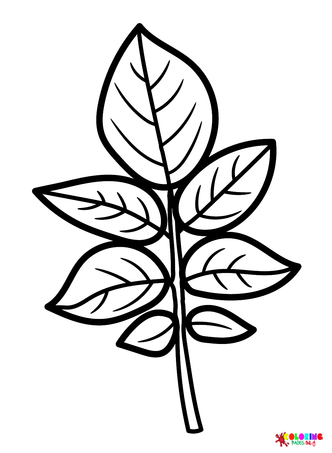 Hawthorn Leaf Coloring Pages Free Printable Coloring Pages
