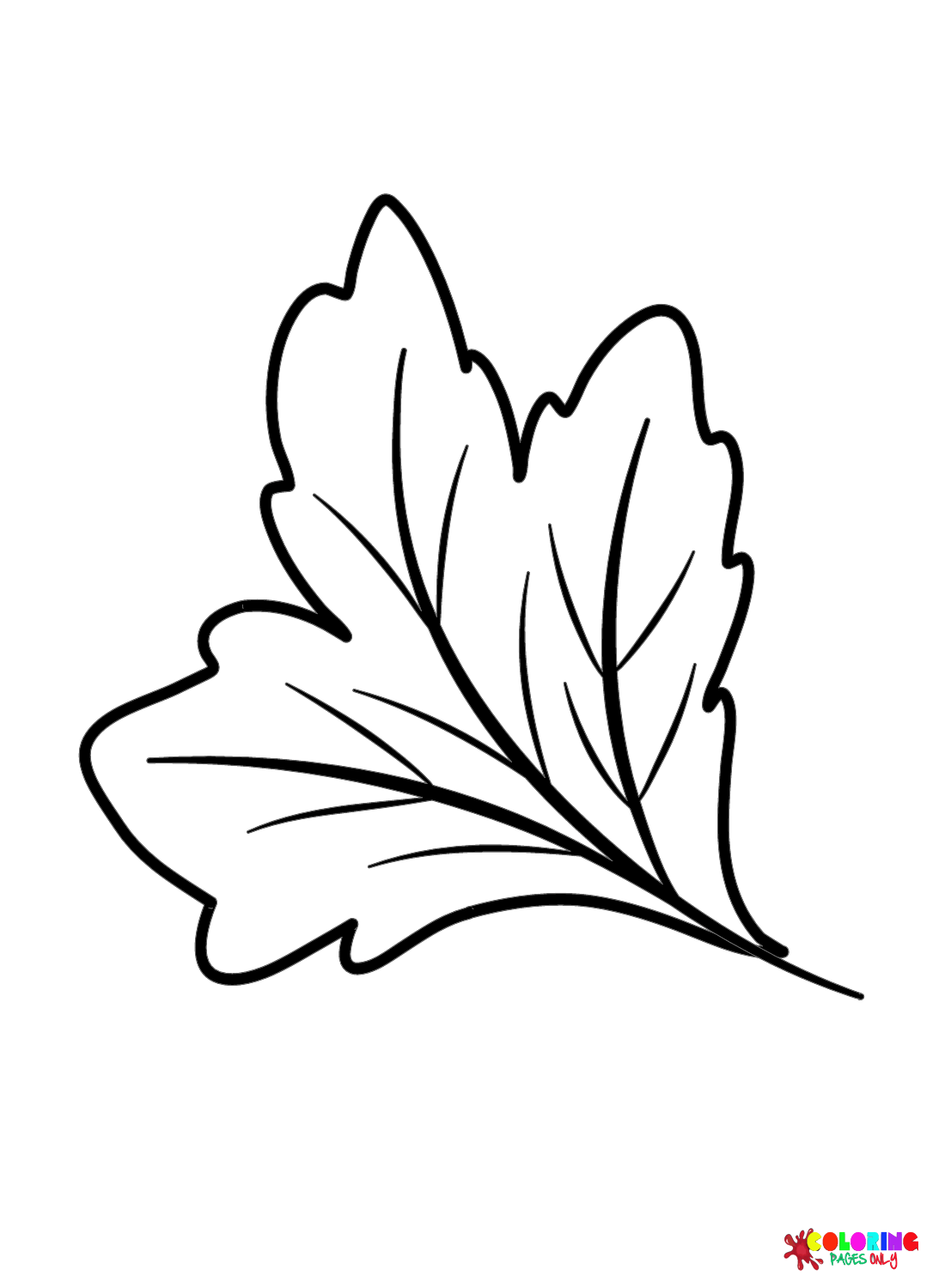 Hawthorn Leaf Coloring Pages Leaves Coloring Pages Coloring Pages 