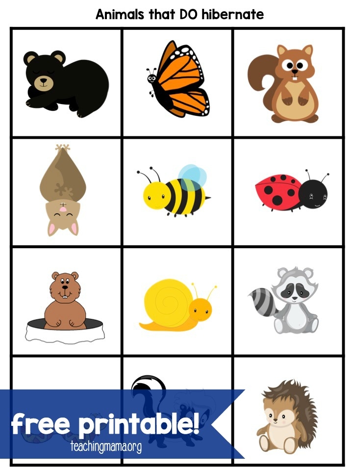 free printable hibernation crafts for preschoolers
