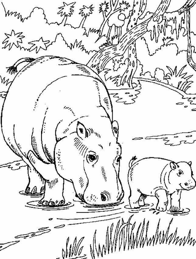 Hippopotamus Coloring Pages Coloring Home