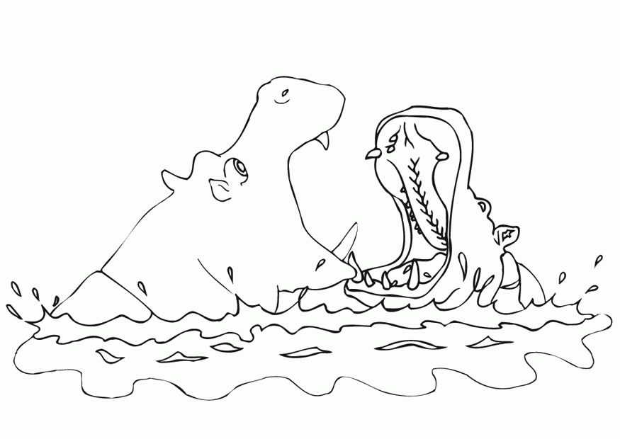 Hippopotamus Coloring Pages Coloring Home