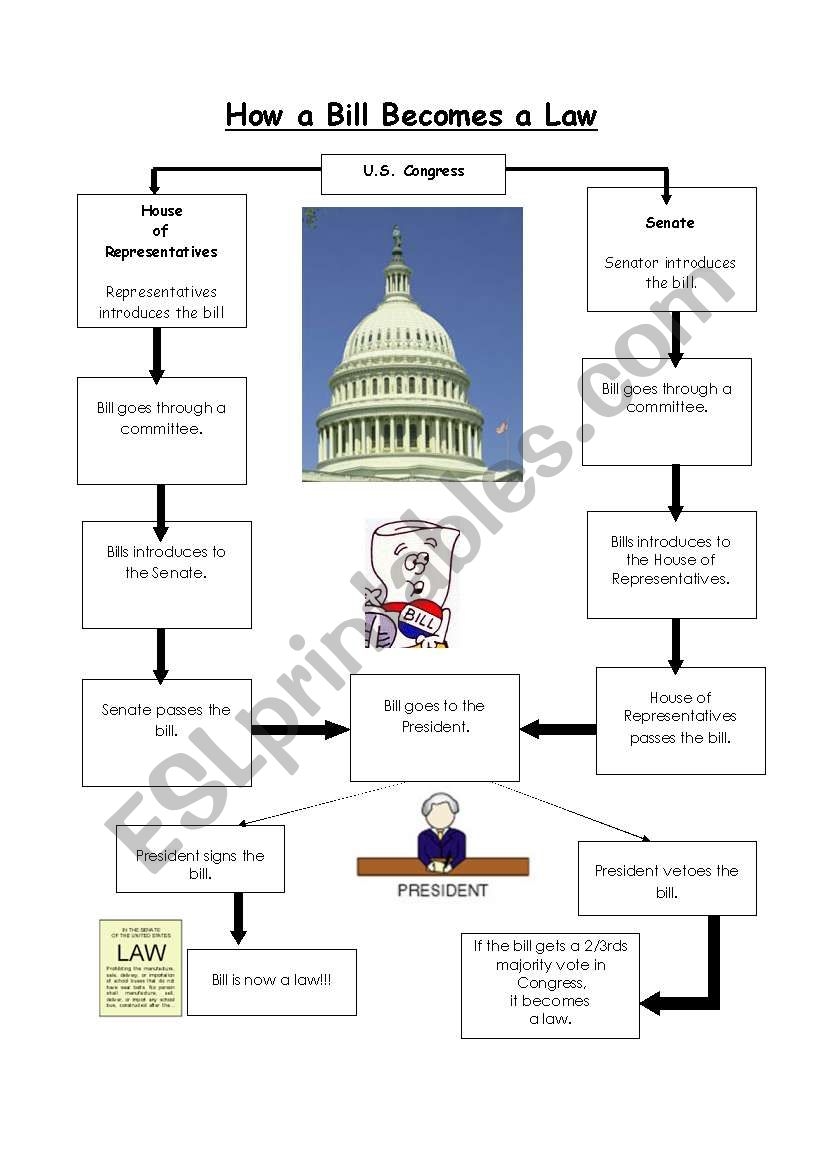 how bills become laws worksheet