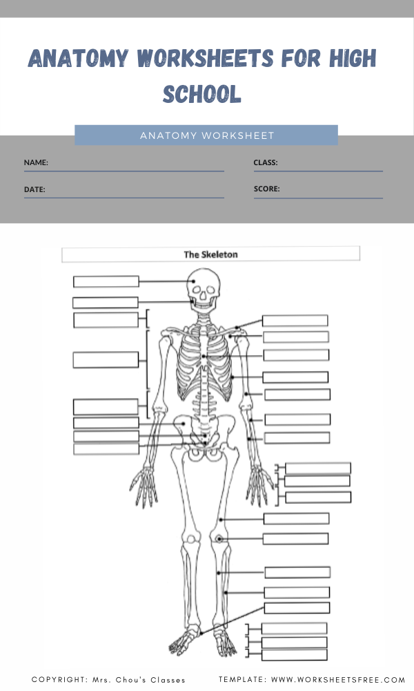 nutrition worksheets for high school pdf