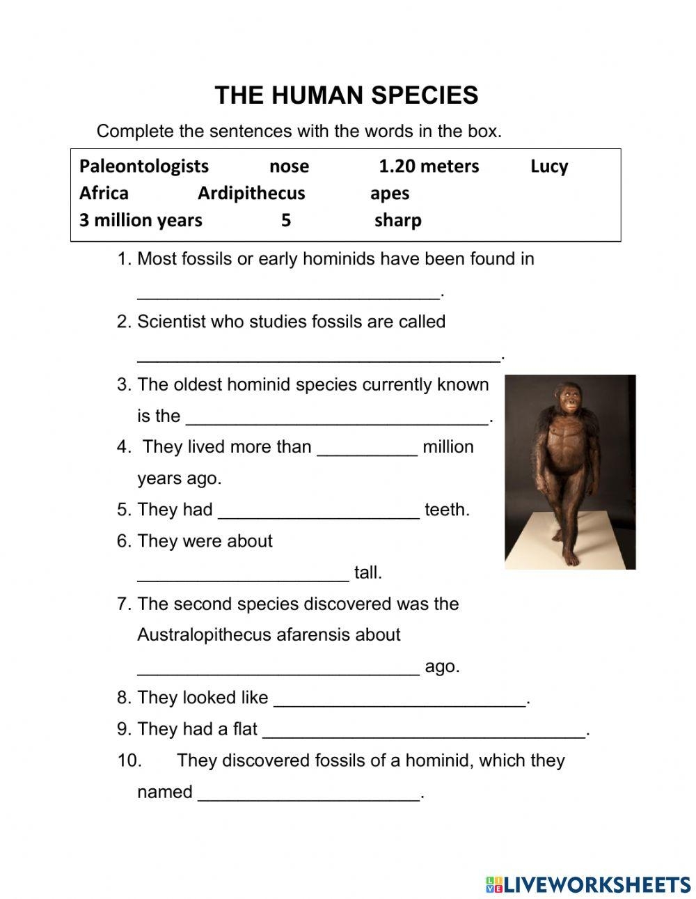 Human Evolution Free Worksheet SKOOLGO Worksheets Library