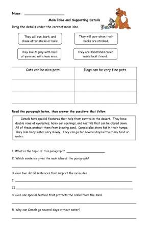 Identifying The Main Idea Details Worksheet Education 