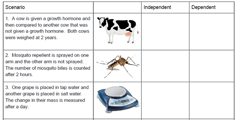 Independent Dependent Variable Worksheets Answers