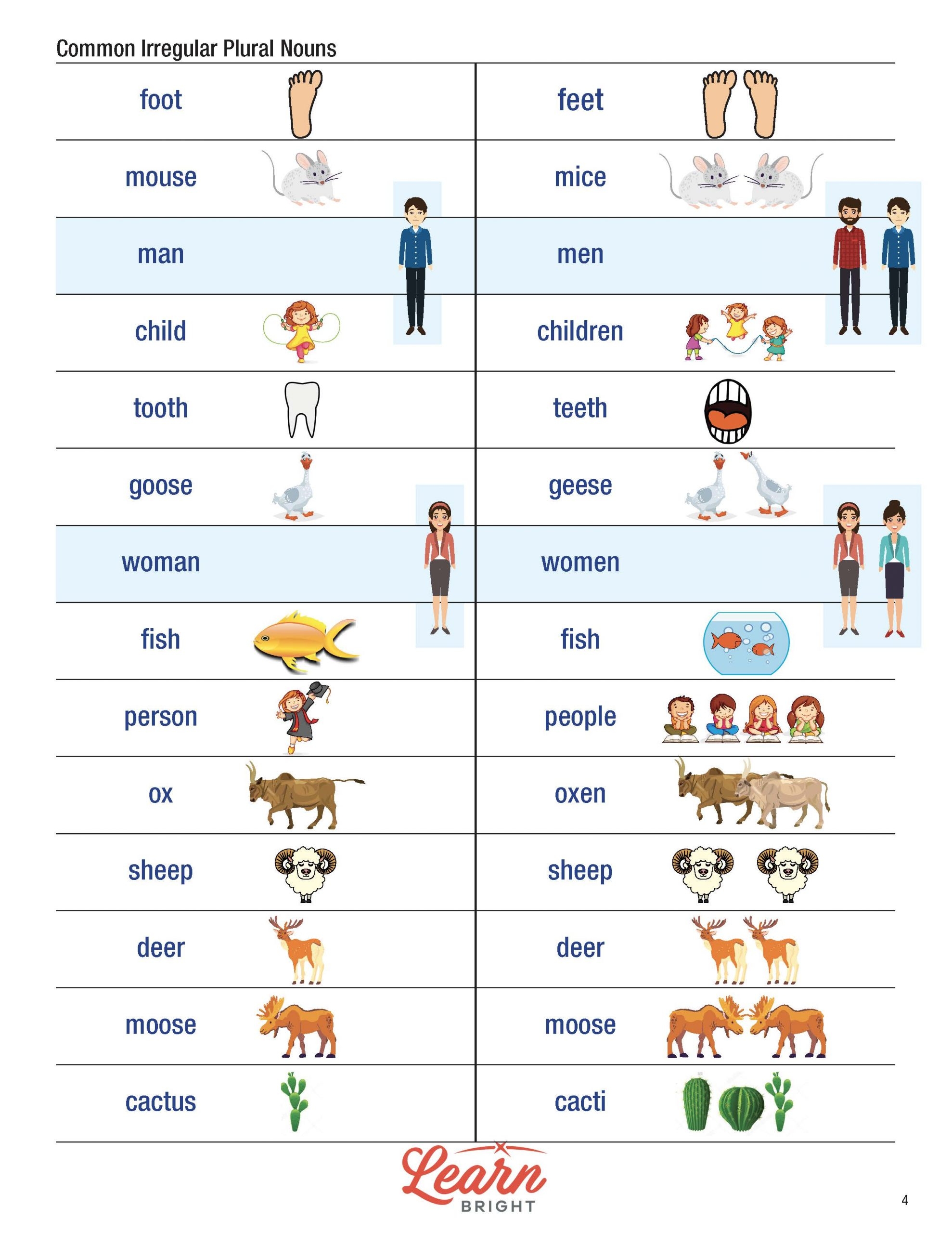 Irregular Plural Nouns Worksheets Library