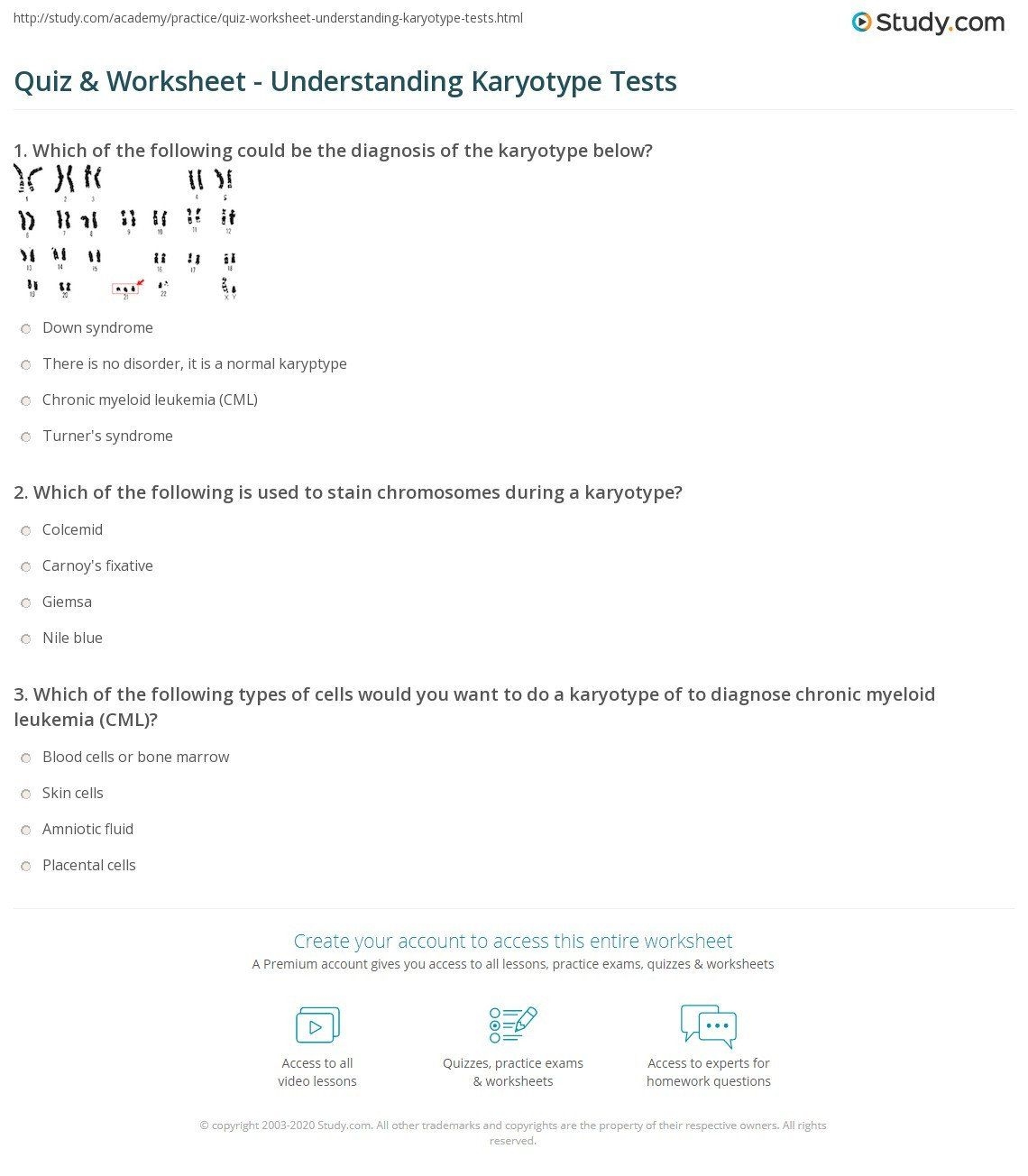 Karyotype Worksheet Answer Key Worksheet Template Ideas