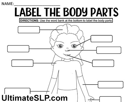 Label The Body Parts Worksheet Ultimate SLP