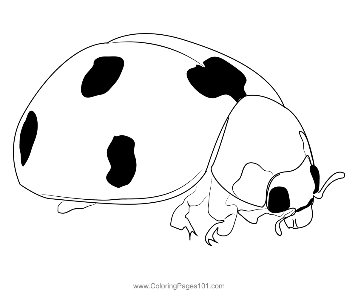 Coloring Pages Of Ladybugs