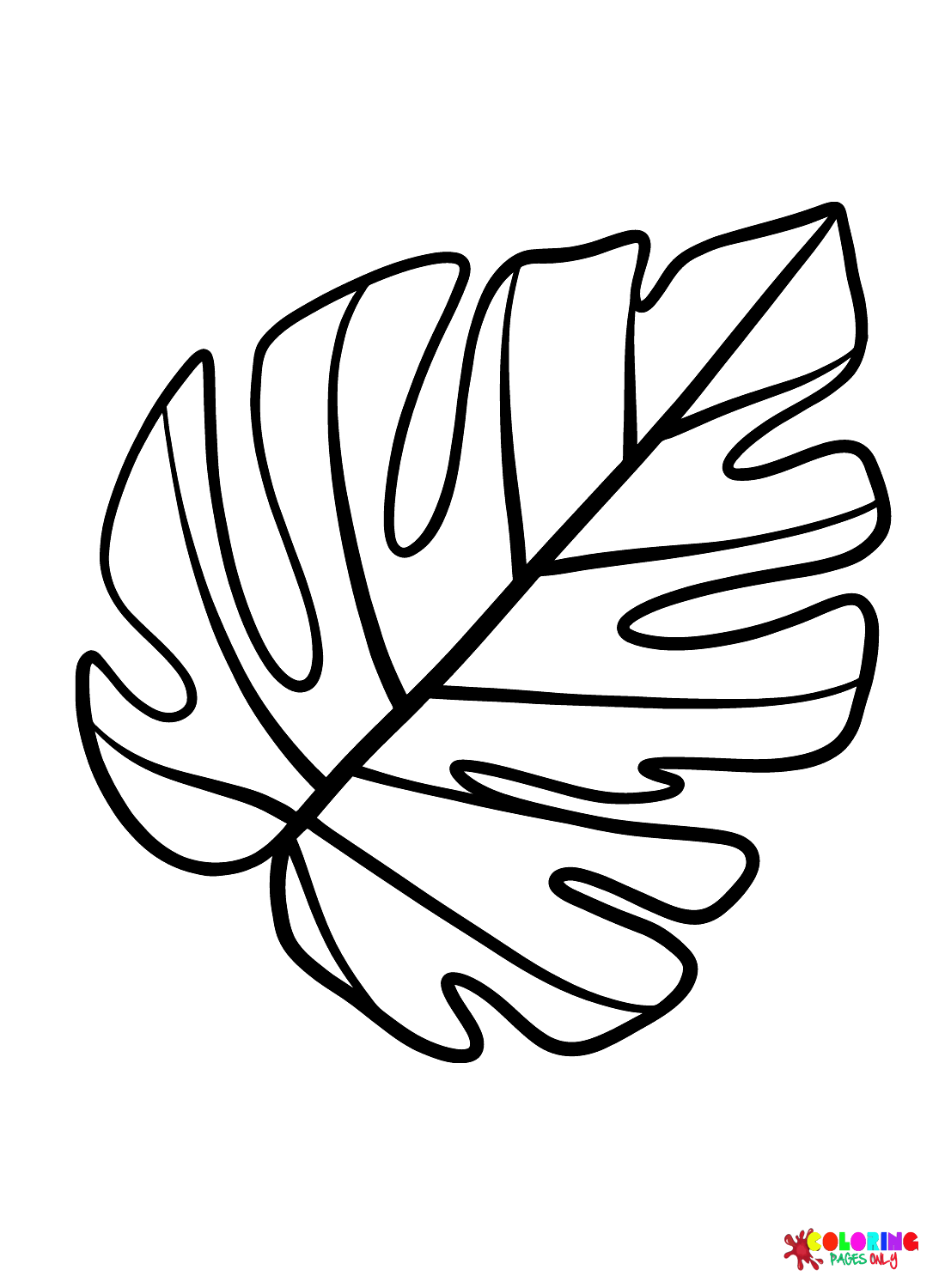 Leaf Anatomy Coloring Worksheet