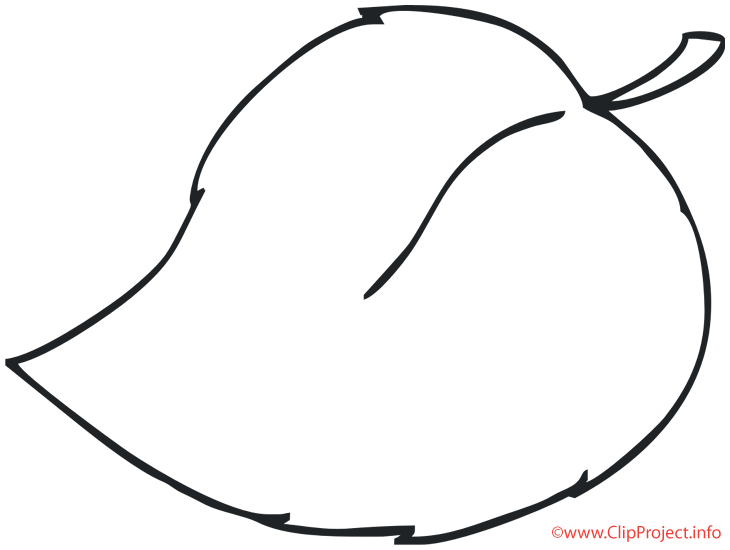 Leaf Coloring Pages Free Plants PNG