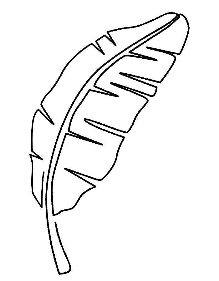 Leaf Coloring Pages Free Printable PDF