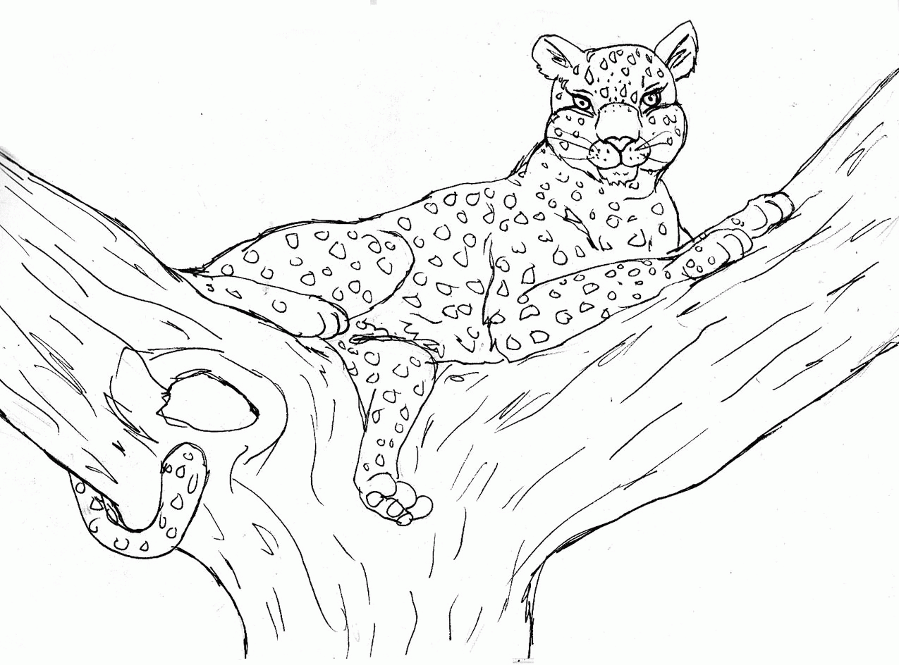 Leopard Coloring Pages Coloring Home