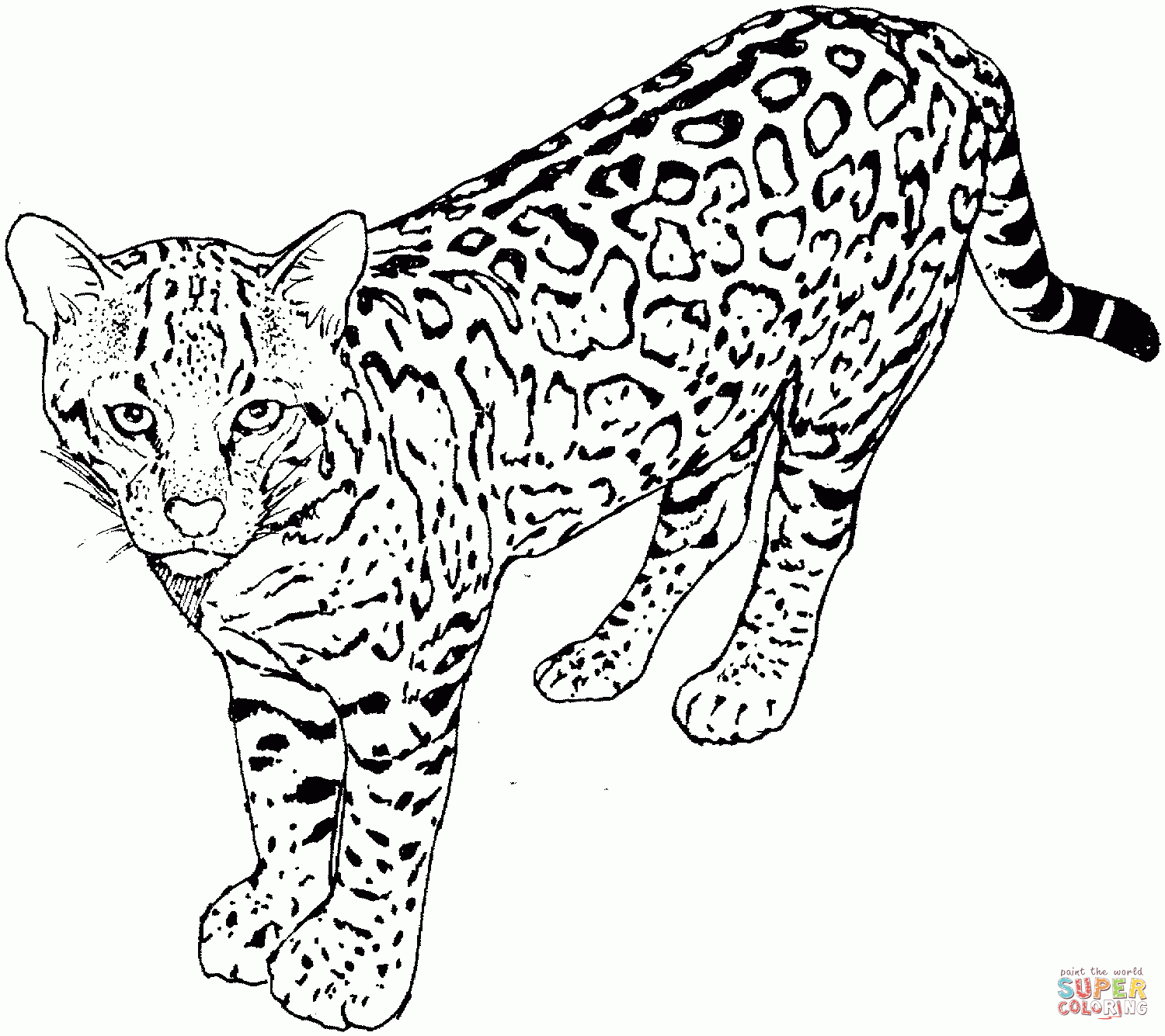 Coloring Pages Of A Leopard