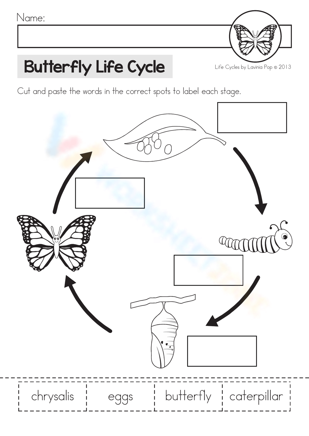 life cycle worksheet butterfly