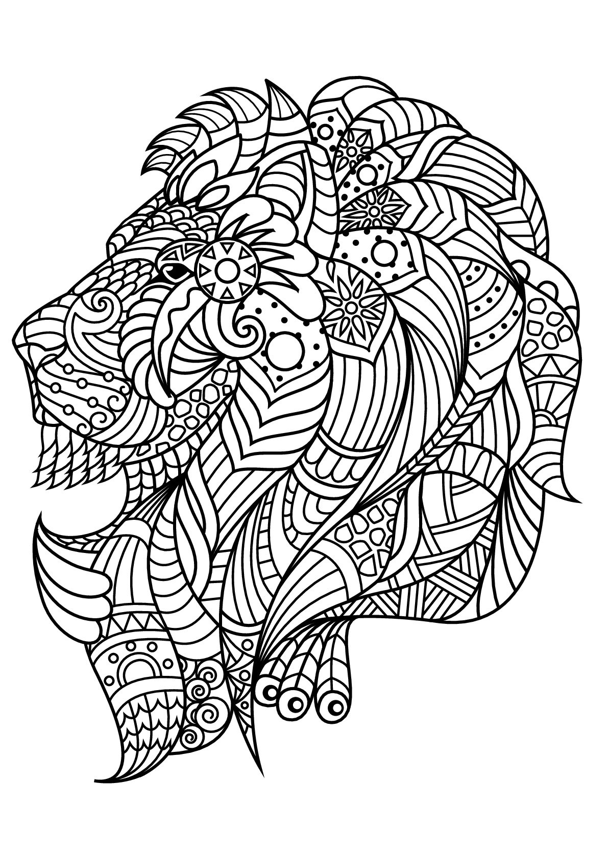 Lion Lion Coloring Pages For Kids