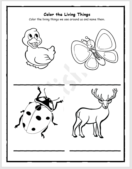 Living Things Coloring Pages For Kids EnglishBix