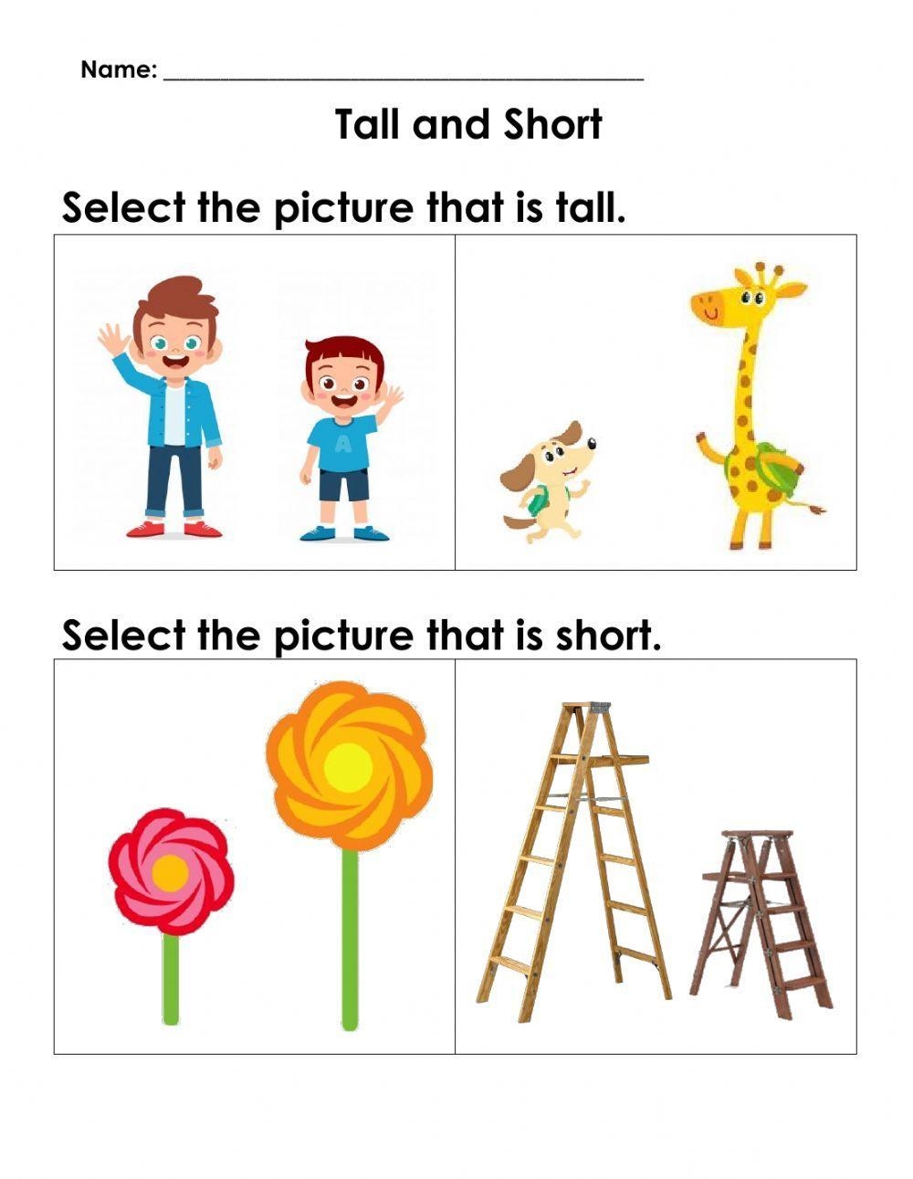 short a worksheet free