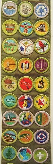 Merit Badges Woolipedia Wiki Fandom Worksheets Library