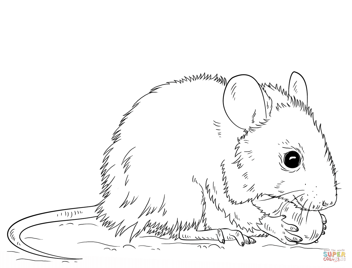 Mice Coloring Pages