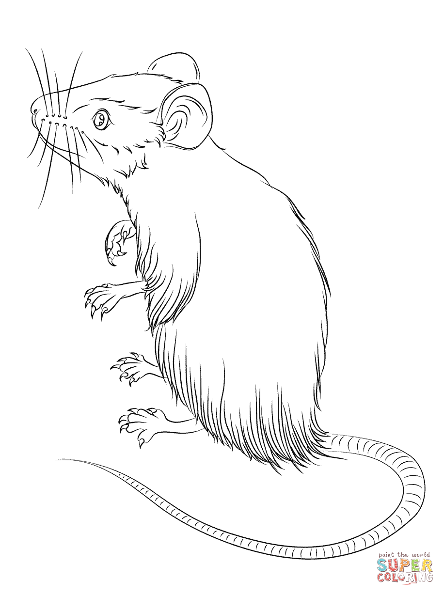 Mice Coloring Pages Coloring Home