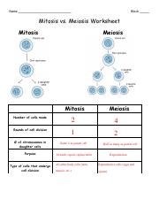 mitosis and meiosis worksheet