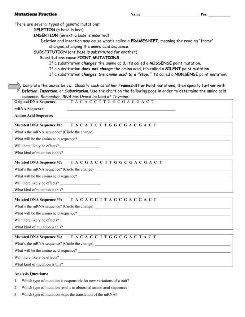 mutations worksheet deletion insertion and substitution