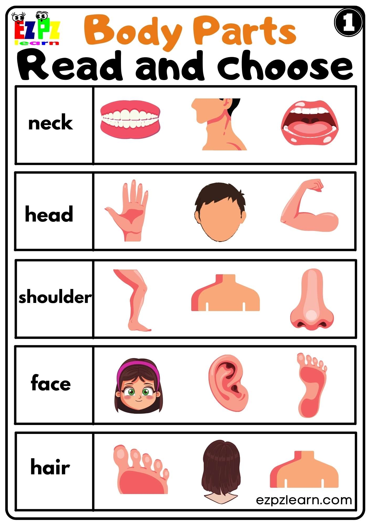 parts of body worksheet for class 2