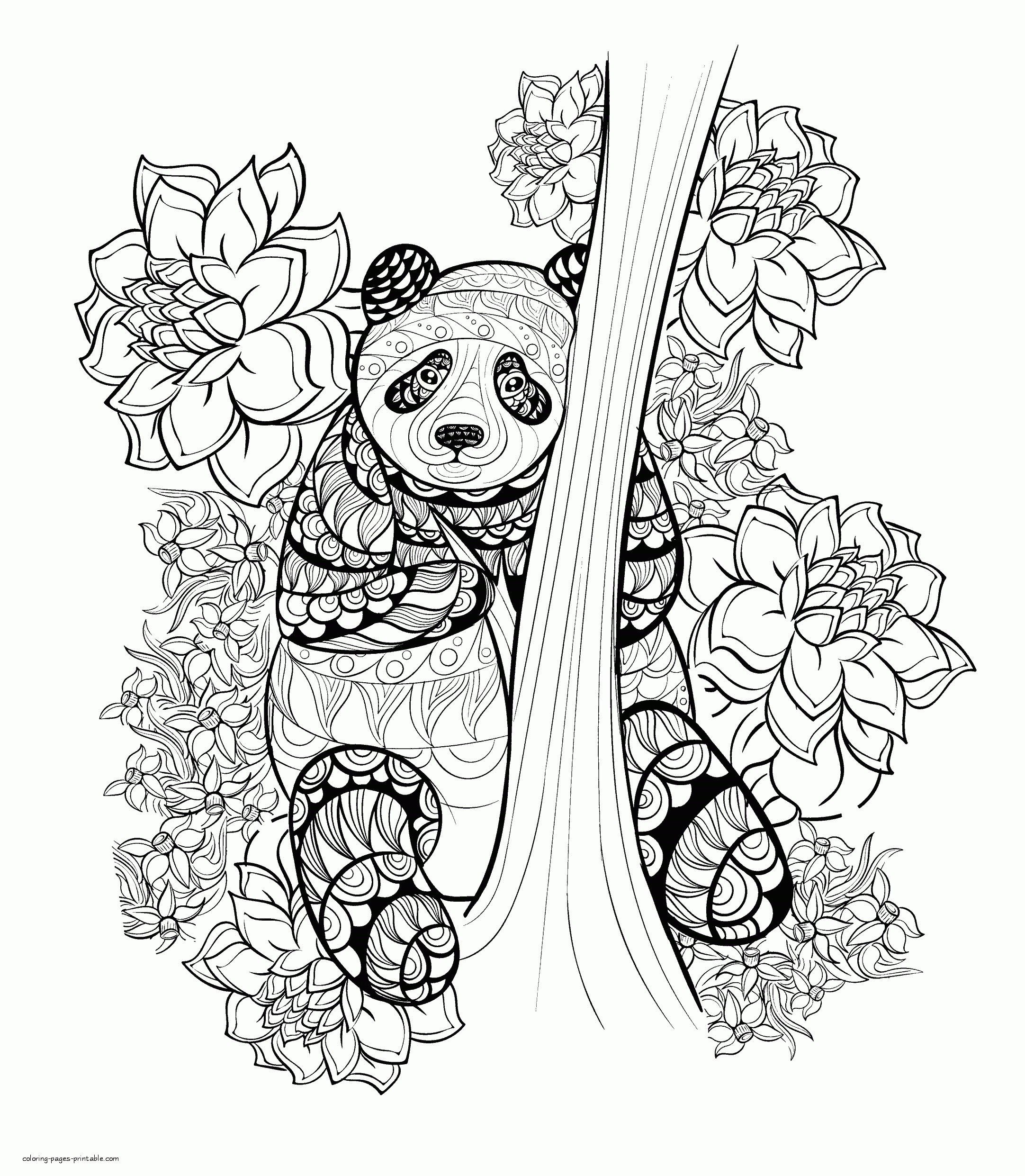 Panda Coloring Page For Adults COLORING PAGES PRINTABLE COM