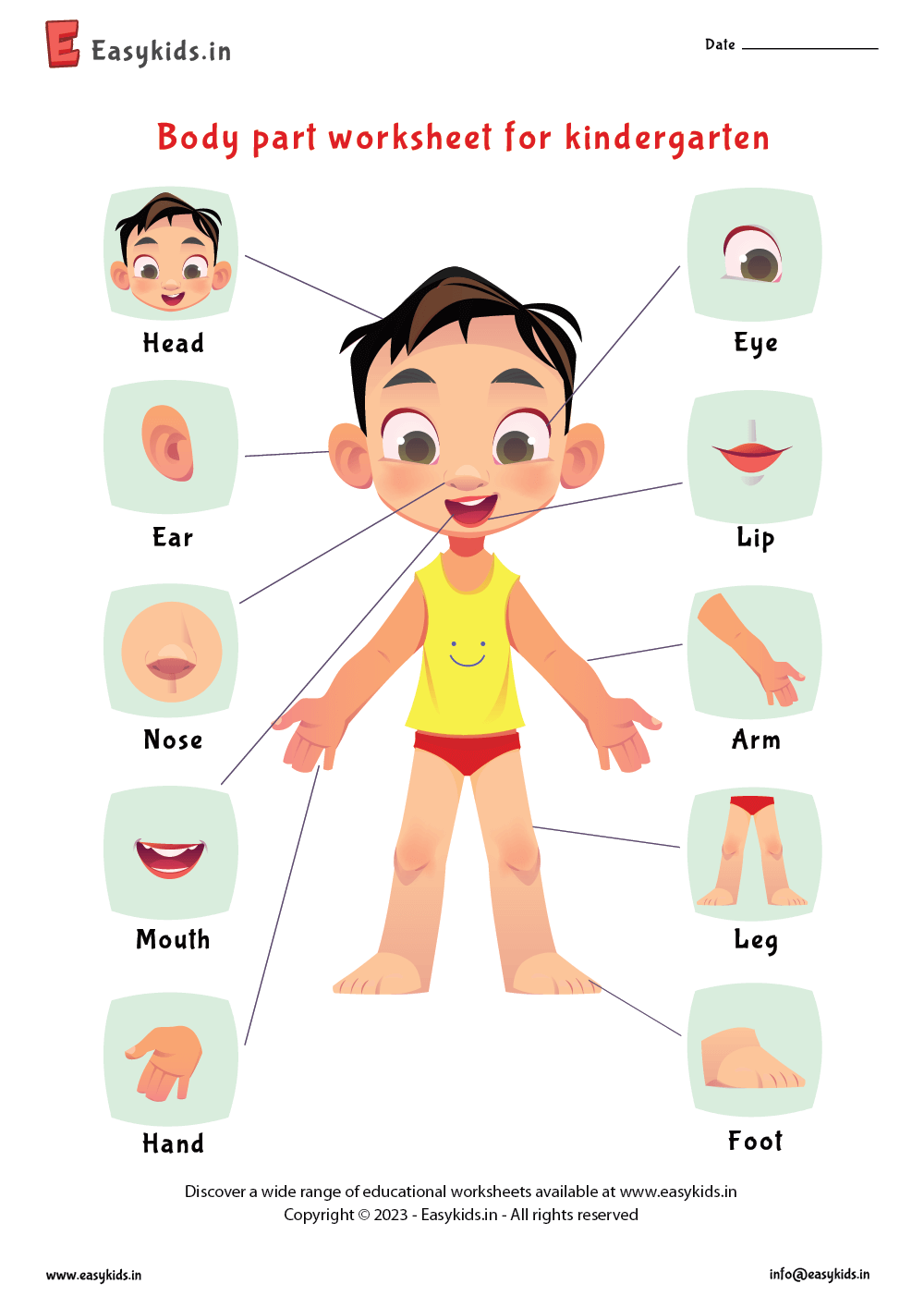 Parts Of Body Worksheet