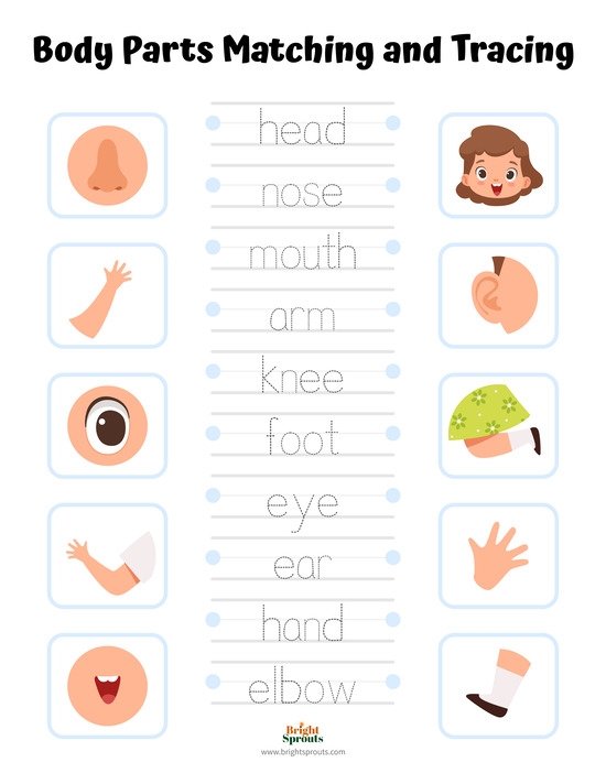 Parts Of The Body Worksheets K5 Learning Worksheets Library