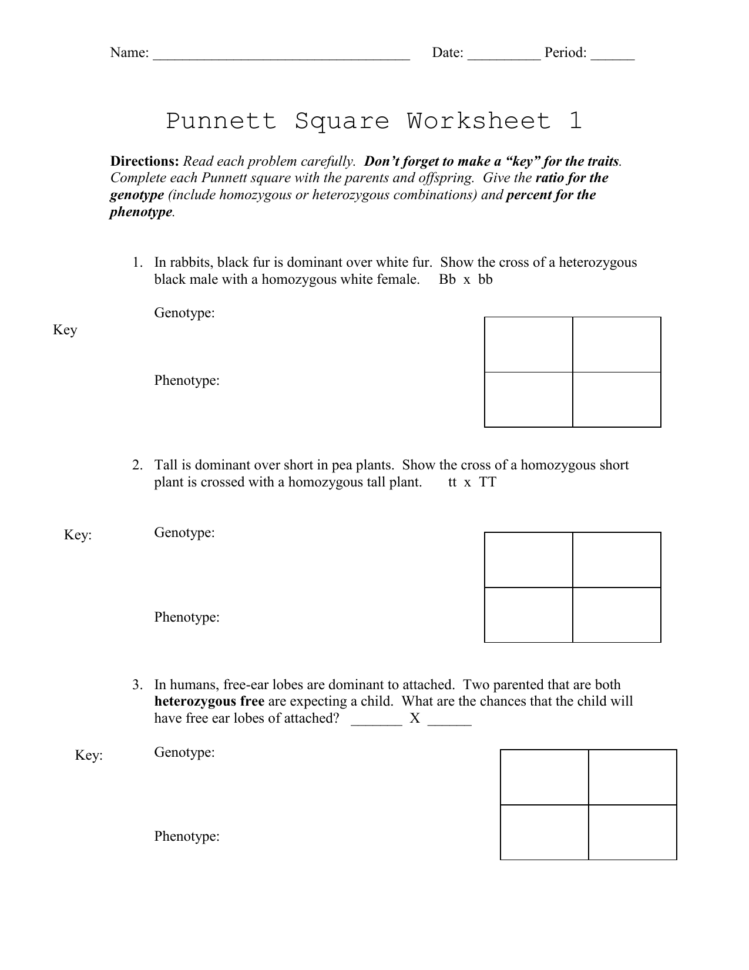 Pea Plant Punnett Squares Worksheet Answer Key Scienceworksheets