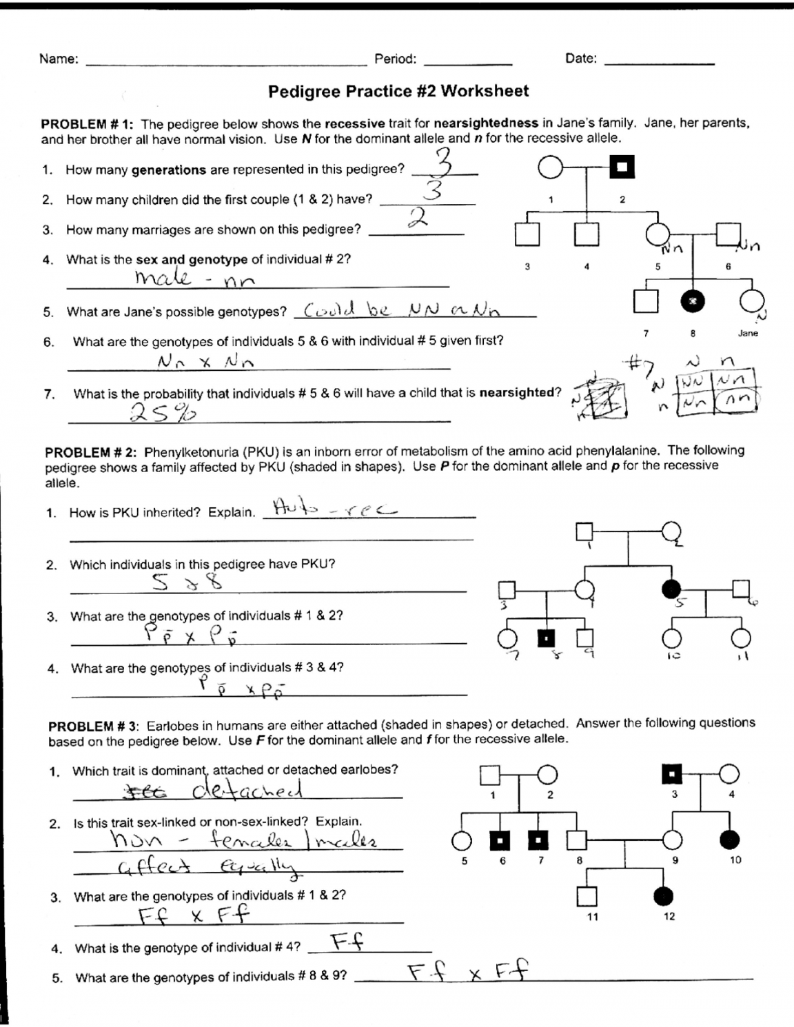 pedigree worksheet and answers