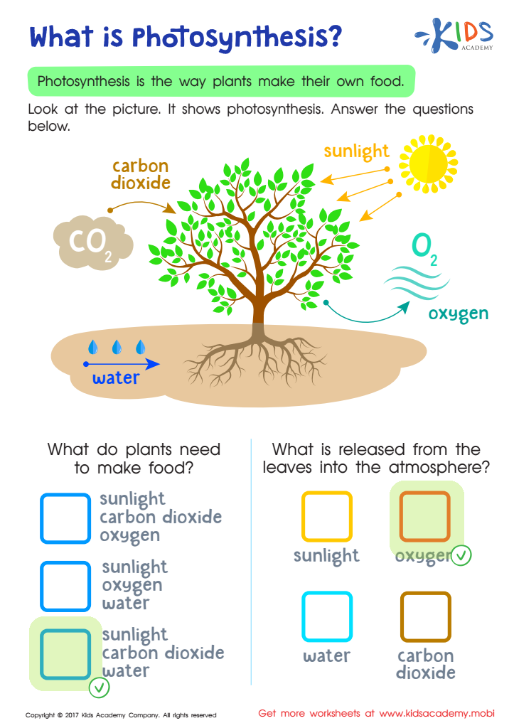 Photosynthesis Online Pdf Worksheet Live Worksheets Worksheets Library