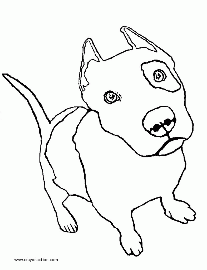 Pitbull Coloring Pages Printable Coloring Home