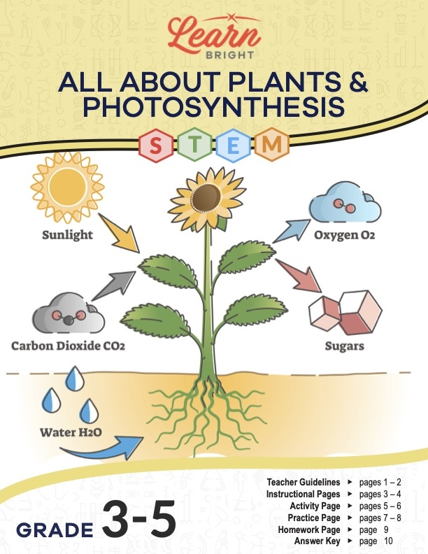 photosynthesis worksheet pdf