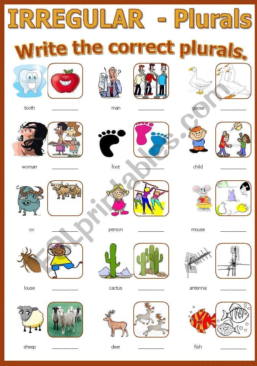 plural nouns irregular worksheet