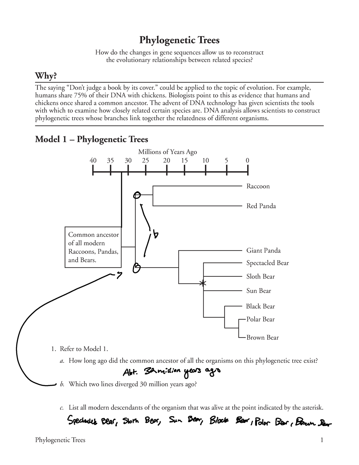 phylogenetic tree worksheet pogil