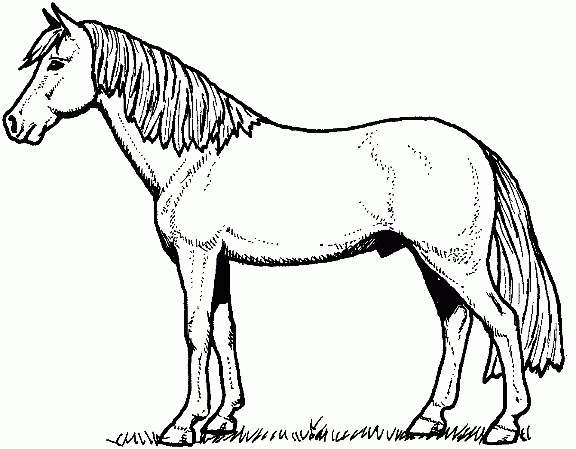 Pony Coloring Page