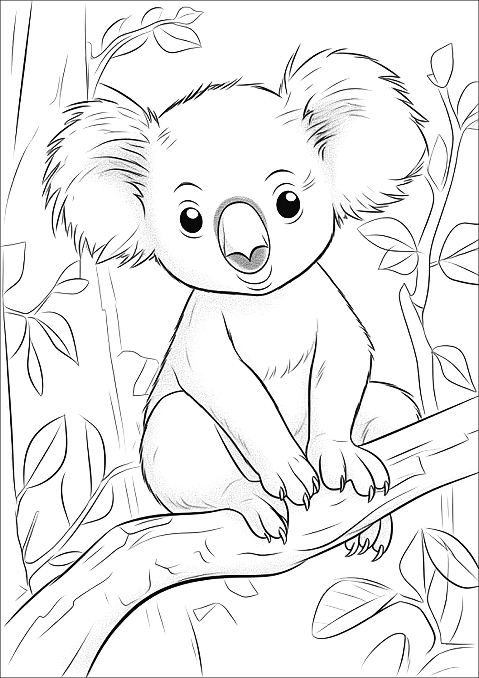 Pretty Koala On A Tree Branch Koalas Coloring Pages