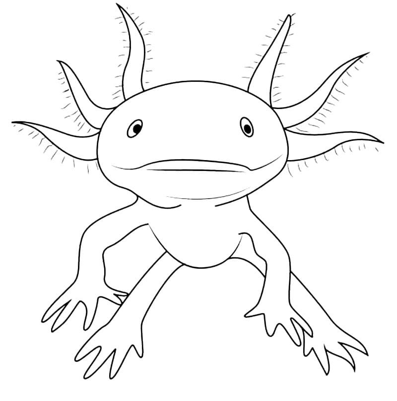 Printable Axolotl Coloring Page Free Printable Coloring Pages For Kids