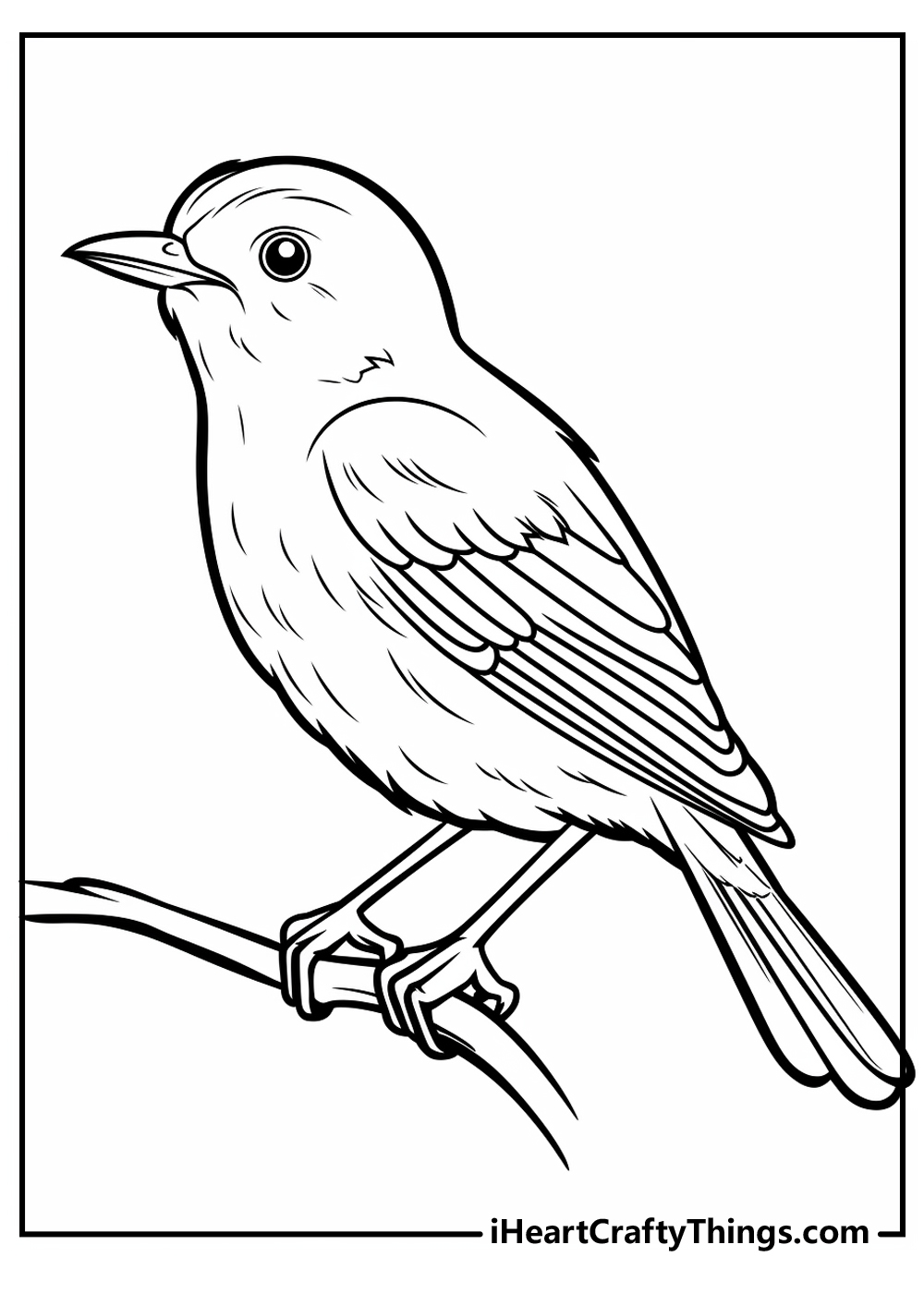 Printable Bird Coloring Pages