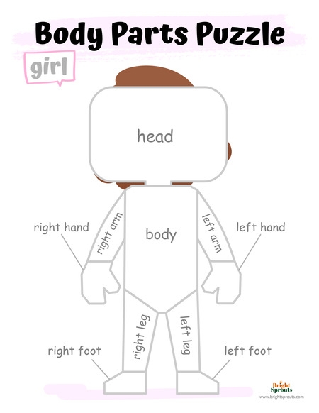 printable body parts for kids worksheet