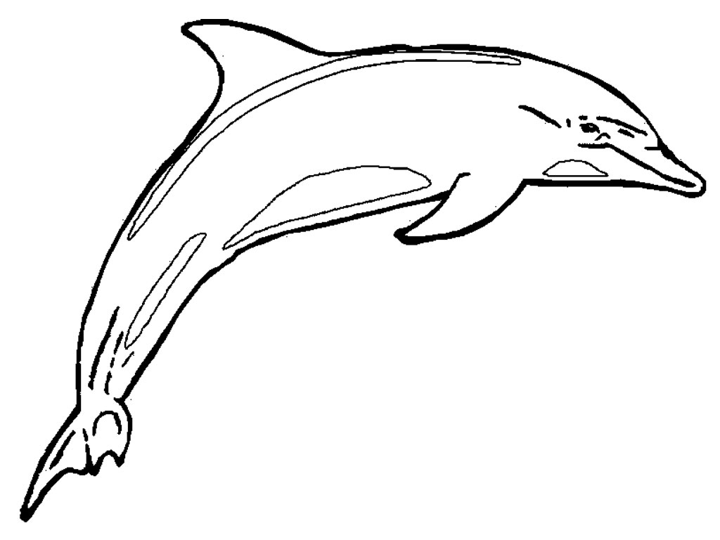 Printable Dolphin Coloring Pages ColoringMe