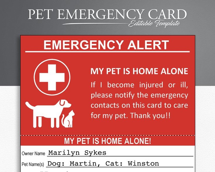 printable pet emergency card