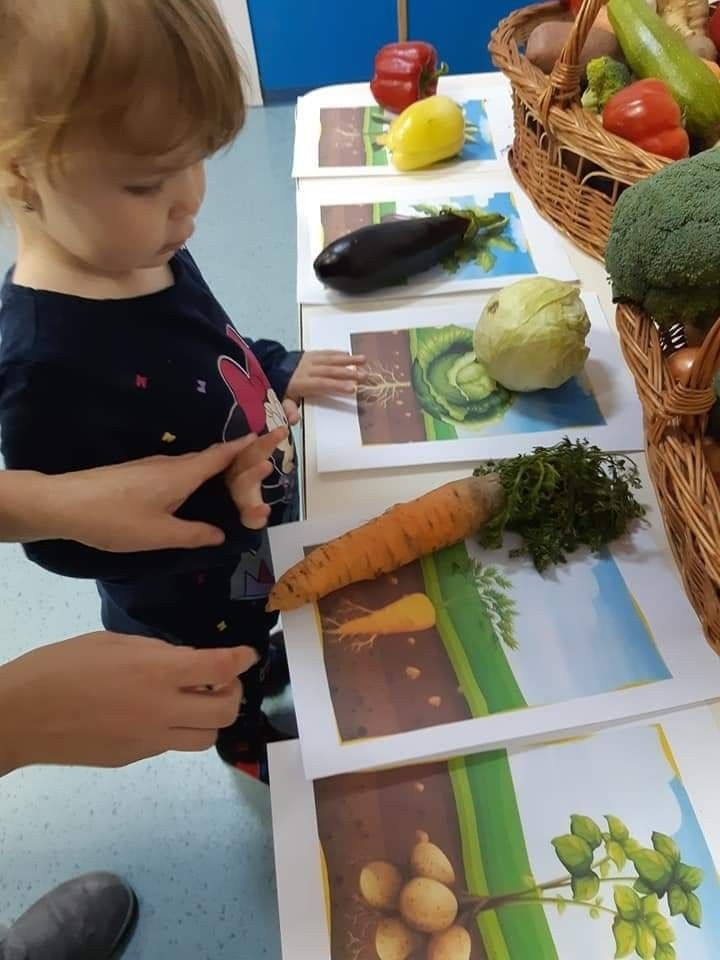Printable Fruit Activities For Preschoolers Artofit