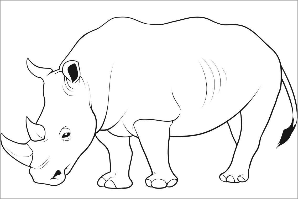 Printable Rhino Coloring Page ColoringBay