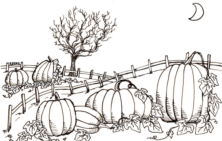 Pumpkin Coloring Pages Printable Coloring Pages FREE